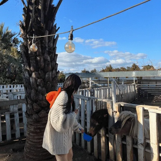 [떠나요~여행룩✈] 제주도 봄 여리여리 언발 오프숄더 롱 울 니트 원피스