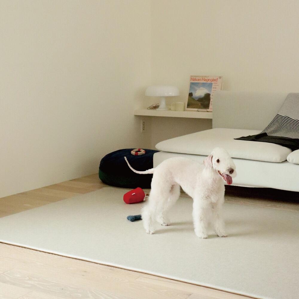 반려동물 PVC mat - clay / 4size