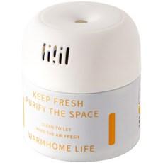 던홈 모던 자동 변기세정제 화이트, 200g, 1개