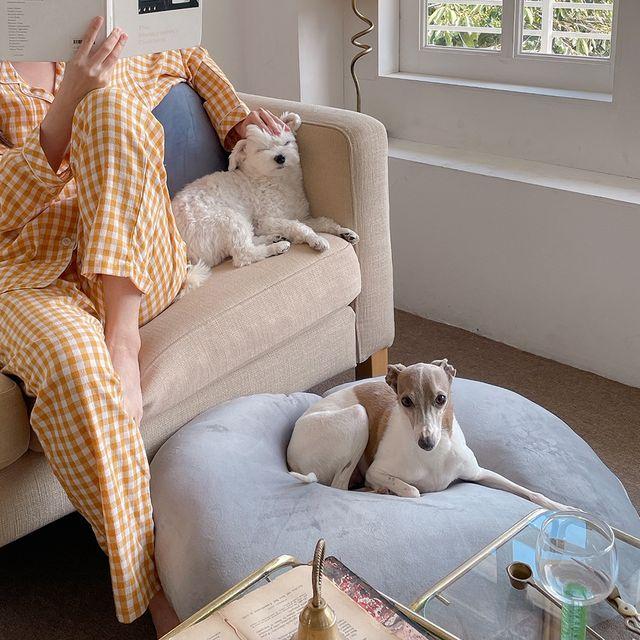 앤더라인 대형 쫀득 등쿠션 바디필로우