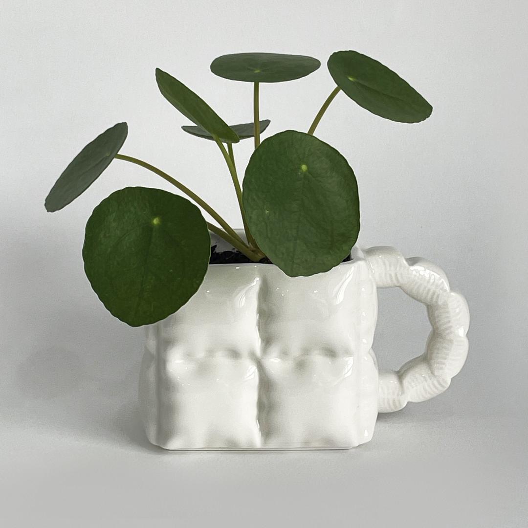 [기프트 패키지]PADDING CUP 3COLOR