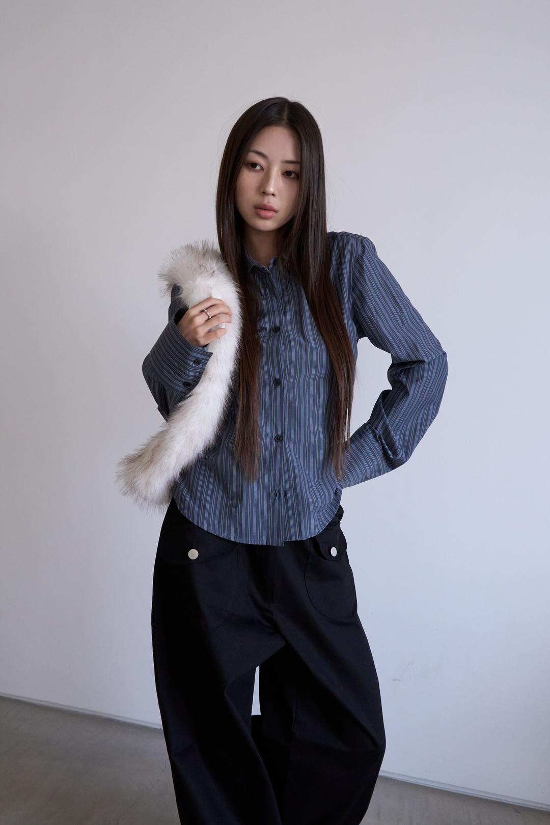 Preppy Stripe Slim Shirt (2c)