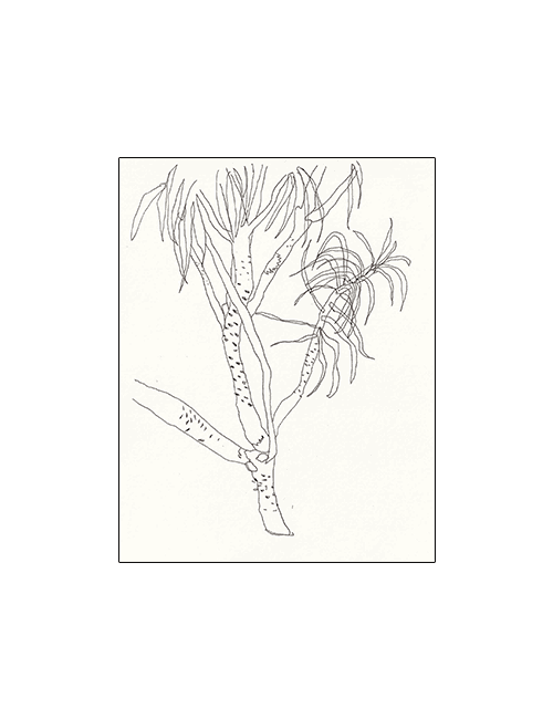 green love sticker pack