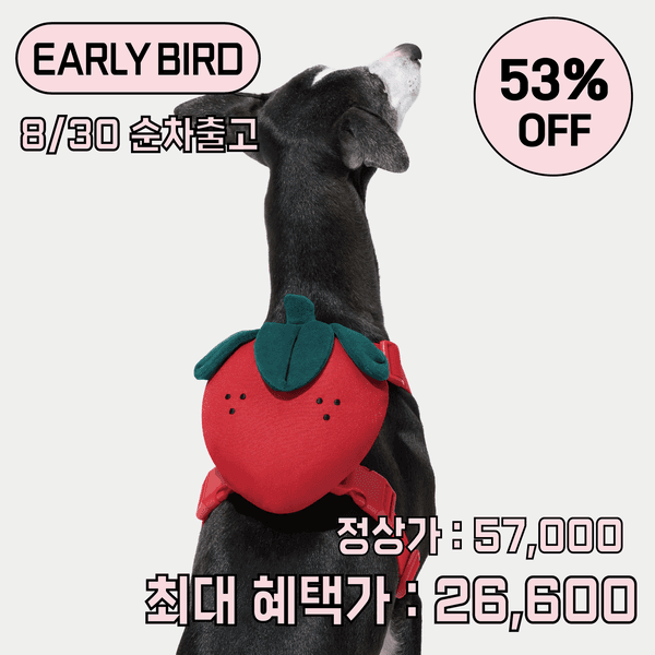 [Earlybird]🍓딸기 백팩 하네스 세트 (배낭+하네스+리드줄) S size *8월30일 순차출고