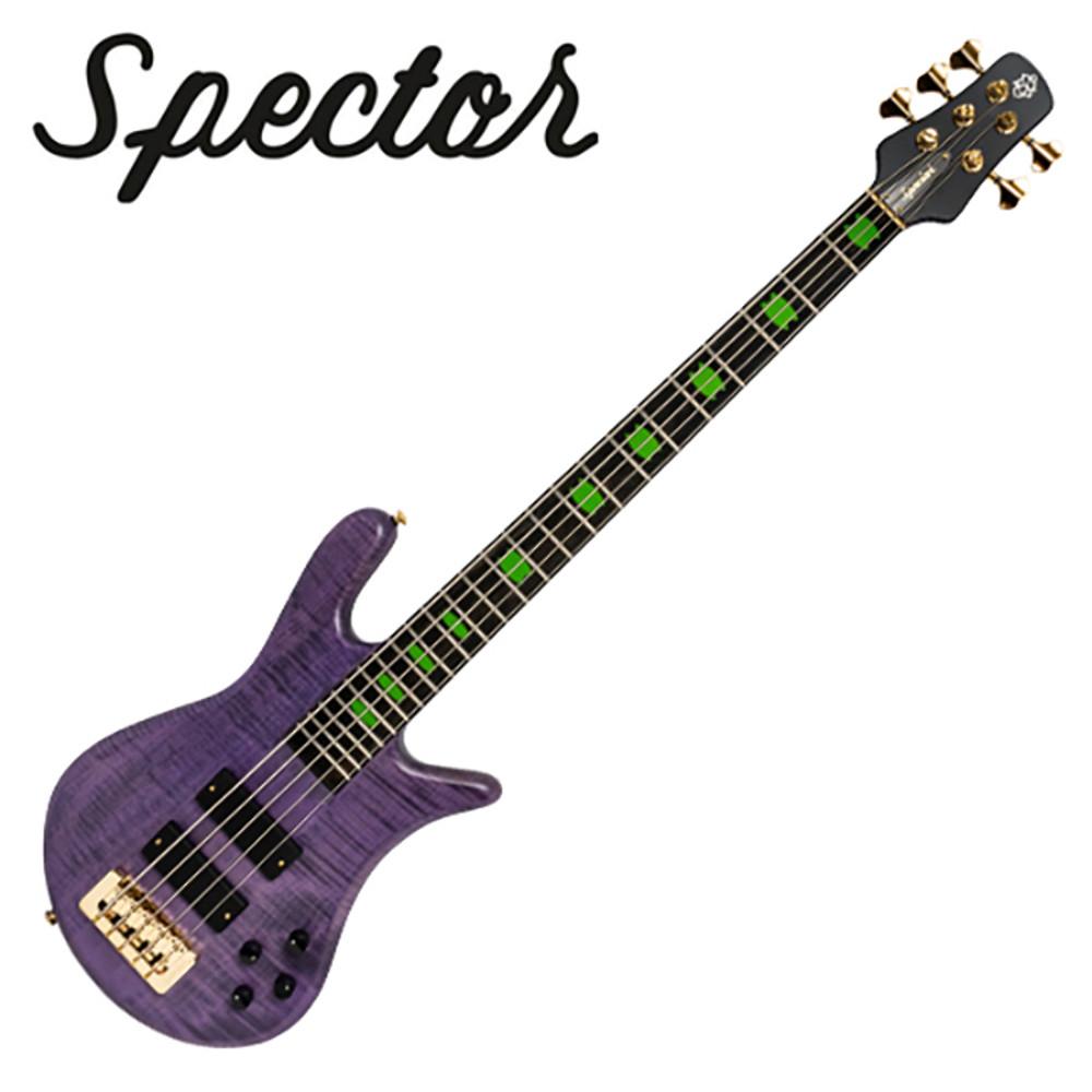 스쿨뮤직 Spector - Skyler Acord Signature