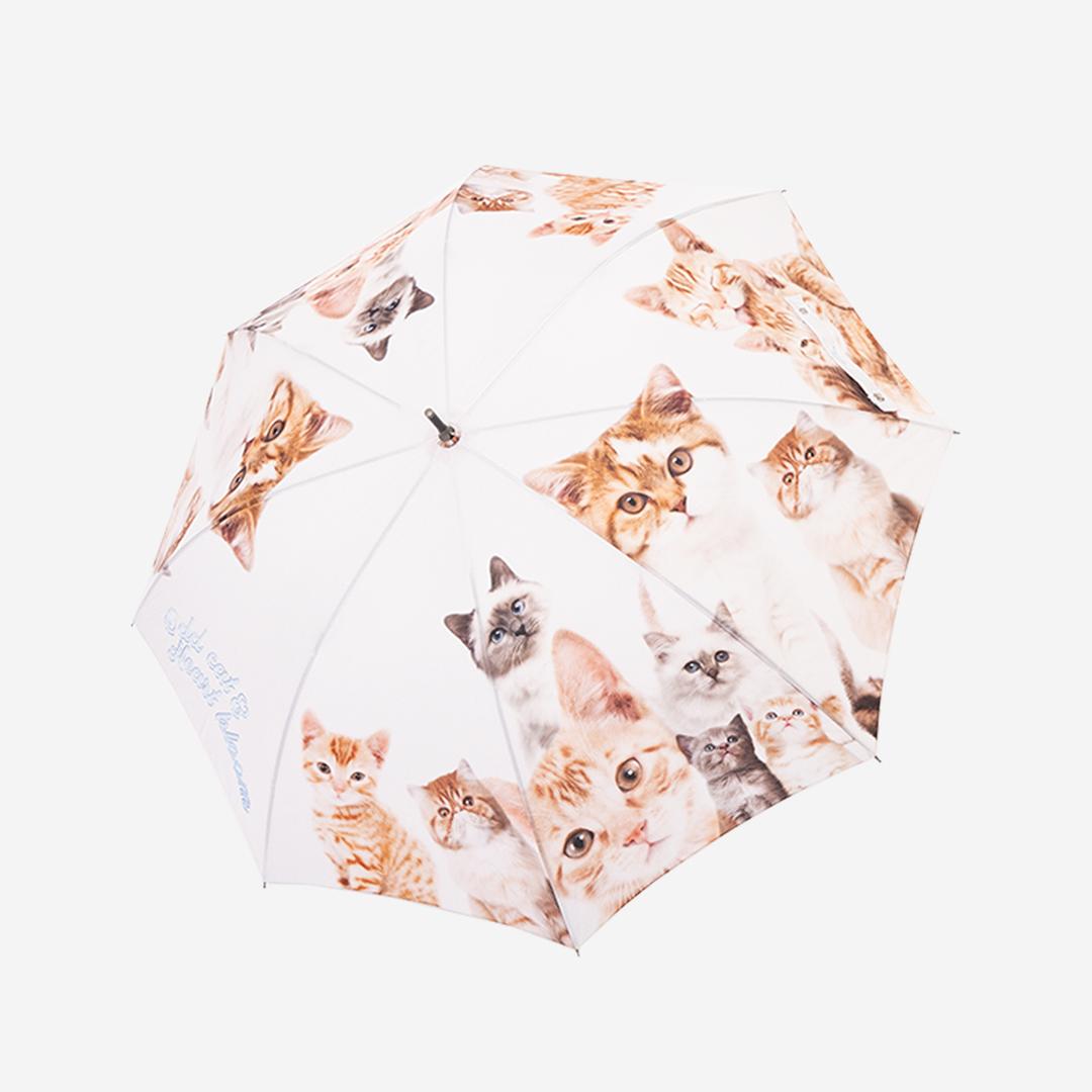 [KREAM Exclusive] Bloomingtale Odd Cat Umbrella