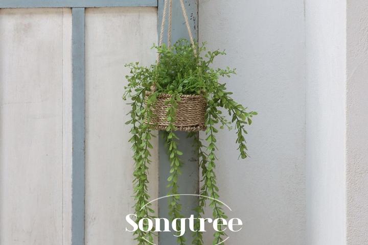 세네시오 바구니 행잉 조화 SET