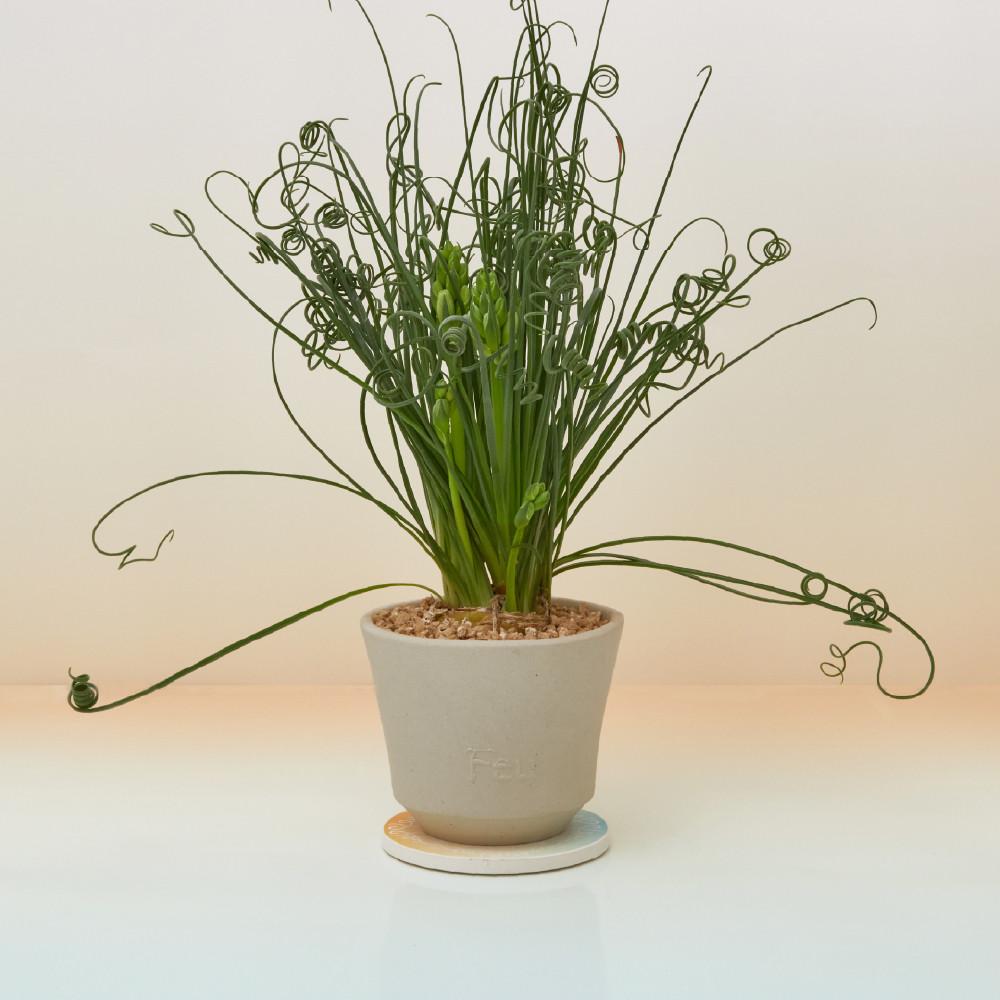 [ 아뜰리에퓨 ][물받침포함] 시럽팟 플레인 중형 화분 지름12cm / 홈가드닝 테라코타 토분 국산화분 프리미엄화분