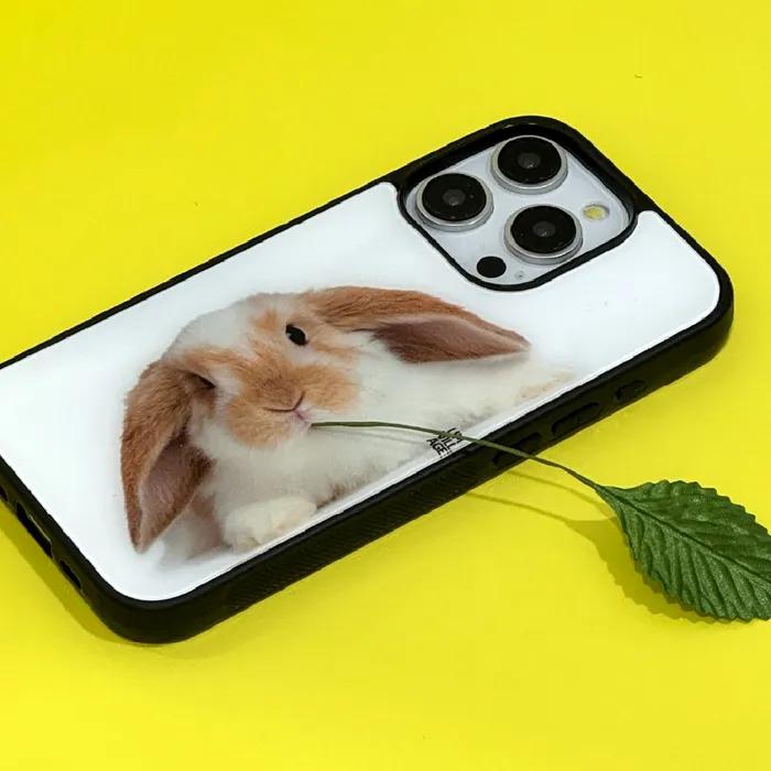 Rabbit glassbumper case
