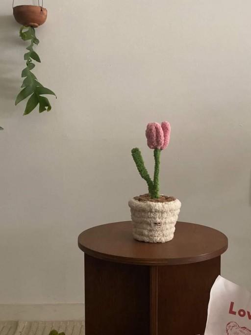 포근식물 오브제 팟커버 튤립 피쉬본 발렌타인 화이트데이