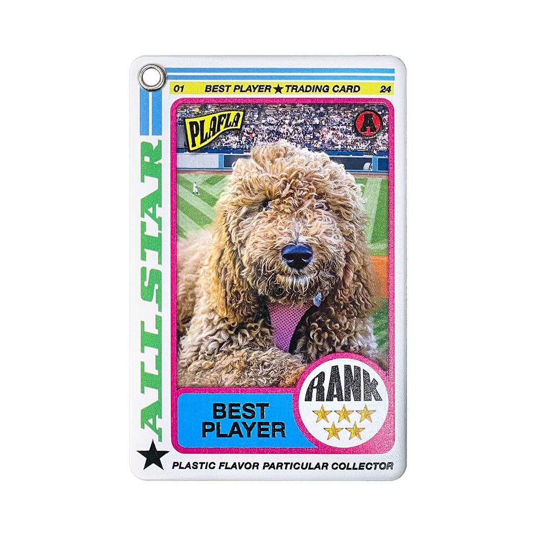PlaFla Frame Photo Holder 05 Trading Card
