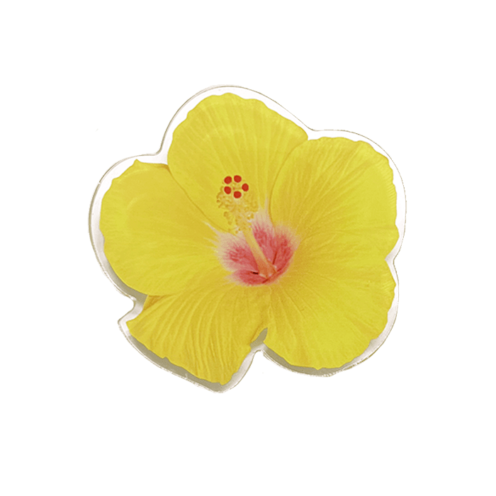 Yellow Hibiscus Tok