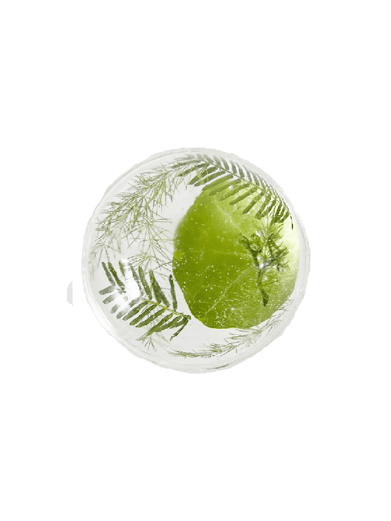 Mongsang Weekly Griptok 028