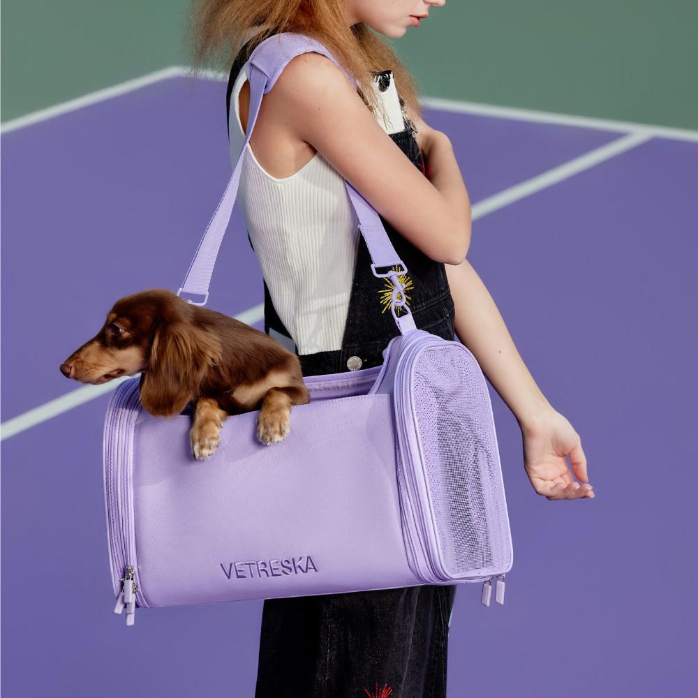 바이올렛 강아지 이동가방 고양이 애견 가방 비행기 기내용