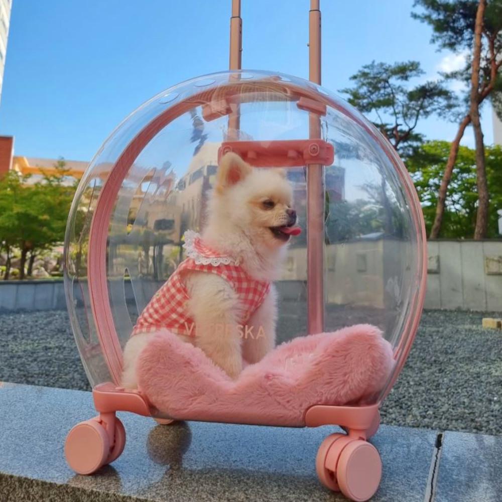 뭉미샵 강아지 이동가방 애견 투명캐리어 이동장 슬링백 산책 기내용가방