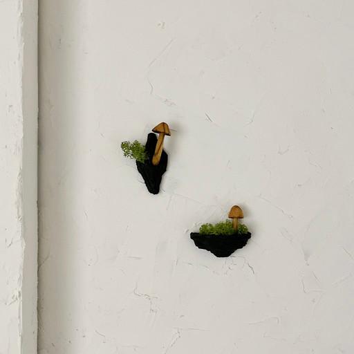 [hue] 동글 버섯 숲