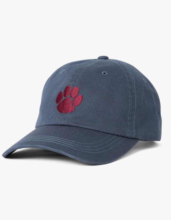 PAW Team Cap - Navy