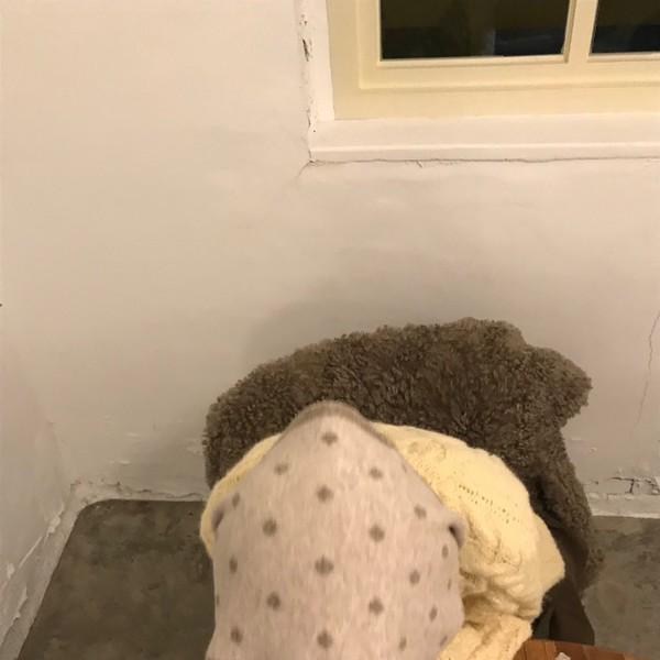 도트 울 머플러 ( dot wool muffler )