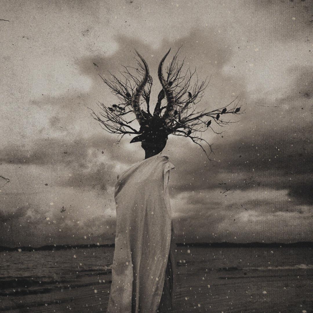 쏜애플 3집 [계몽] | THORNAPPLE 3rd Album [Enlightenment]