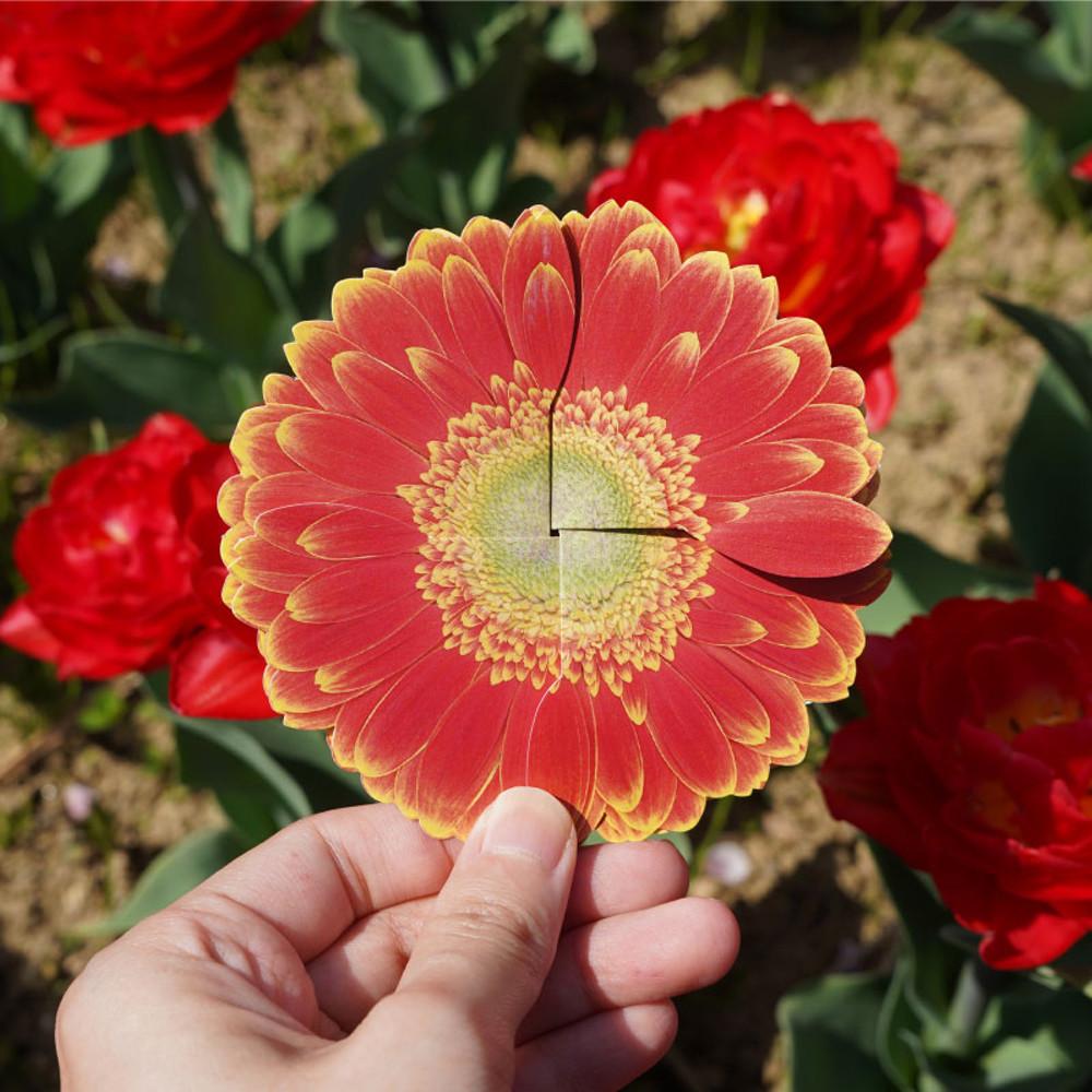 거베라 압화 꽃 편지지