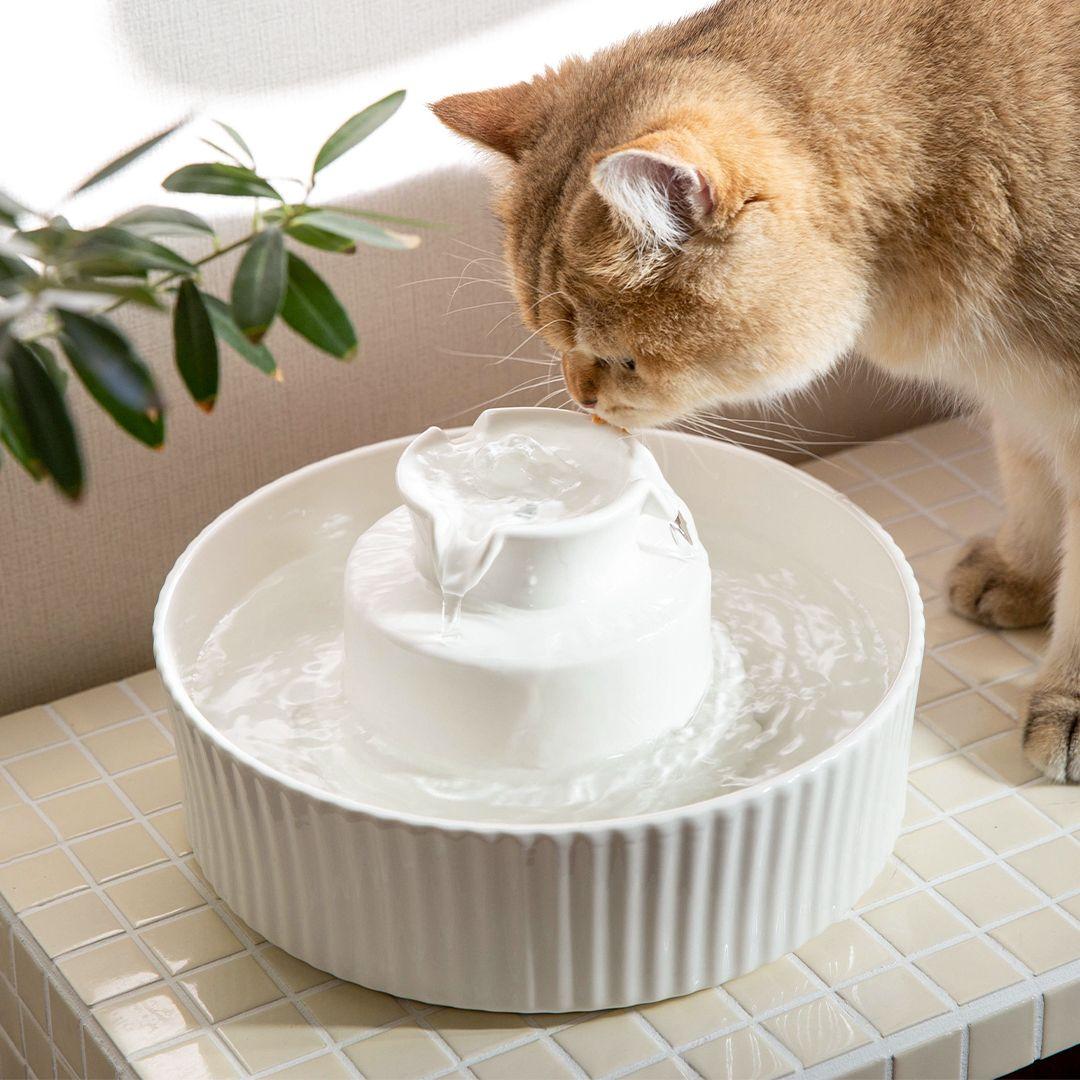 [2023설날]ENOUGH 5 포세린 펫 정수기 화이트