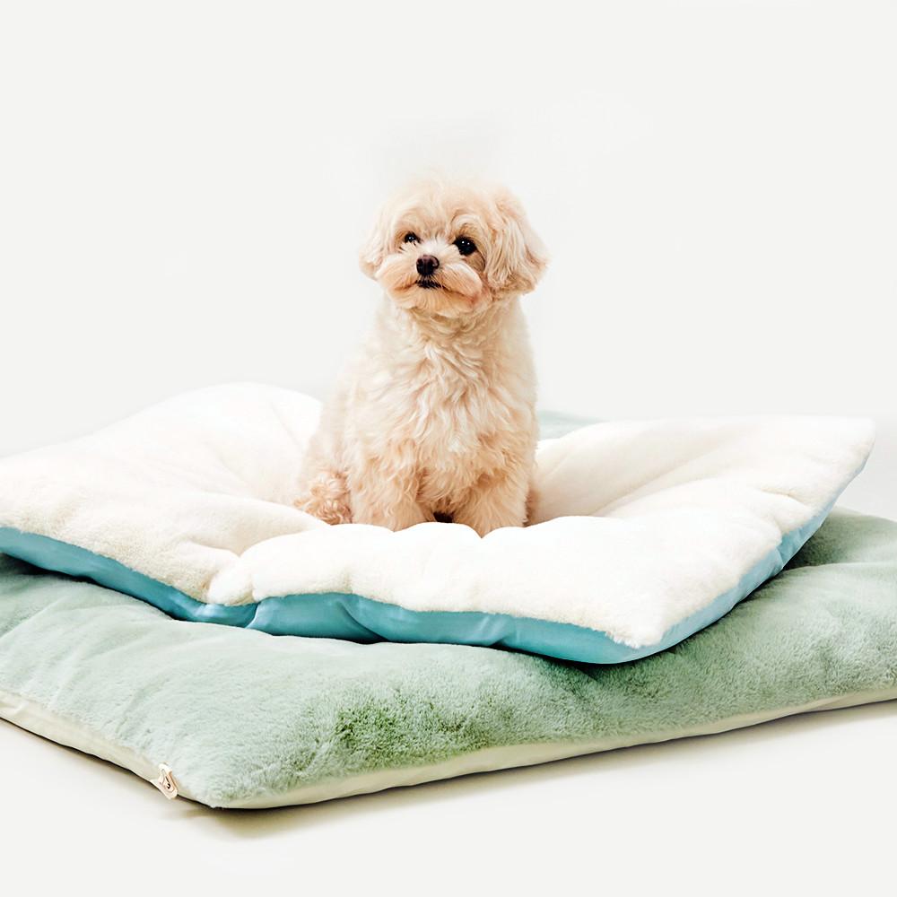 아르르 꿀잠이불 사계절용 극세사 냉감 양면 강아지 고양이 쿠션