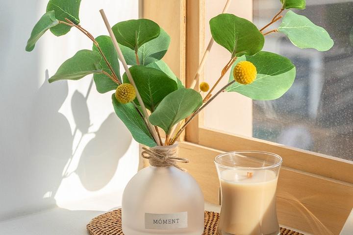 "신향 출시" 유칼립투스 골든볼 디퓨저 160ml + 선물포장