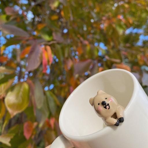 행복한 쿼카컵 🦘❤️  *3주 이상 소요*