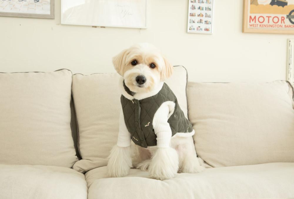 코듀로이 꽃자수 패딩조끼 - 카키