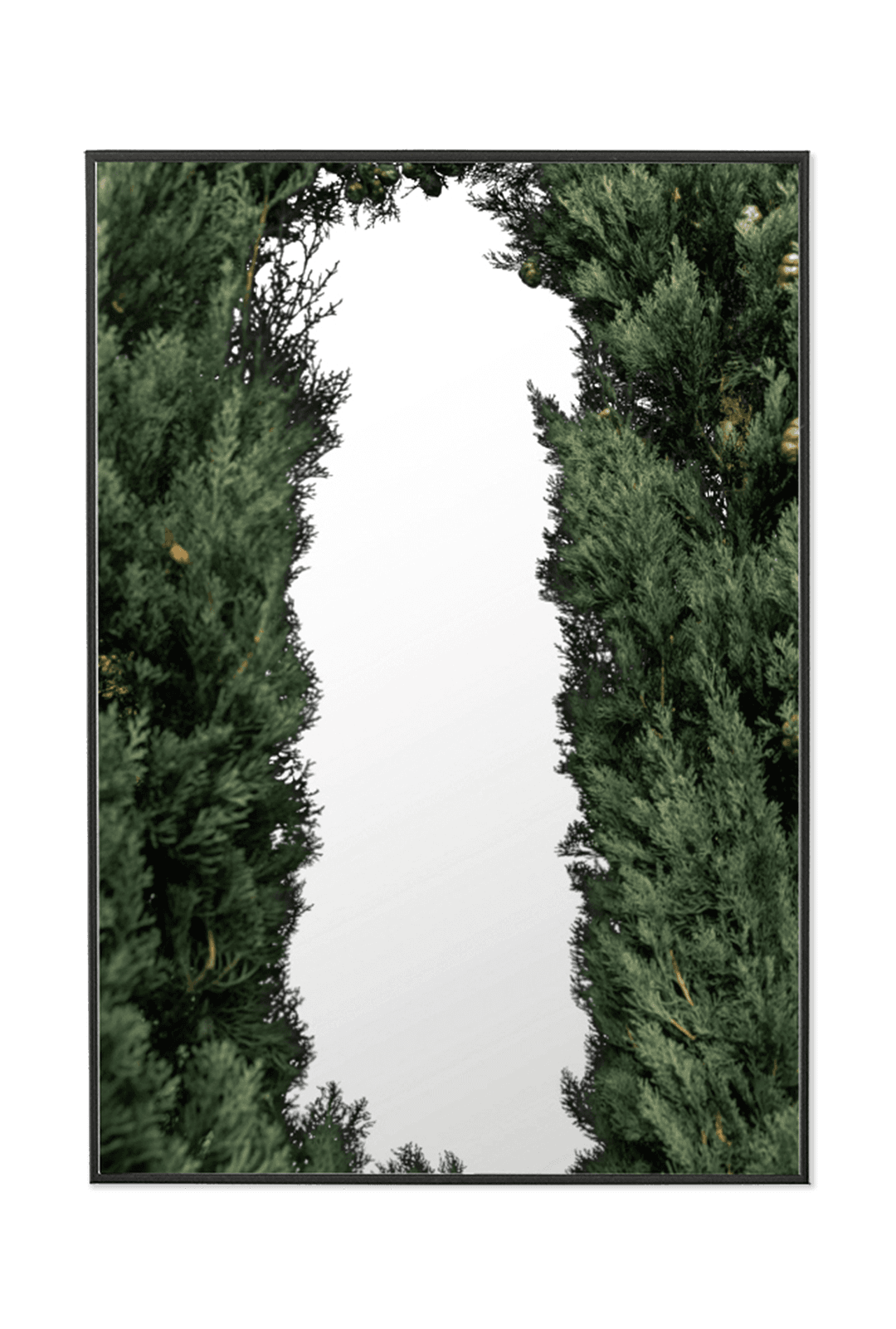 [poster mirror] - forest #2