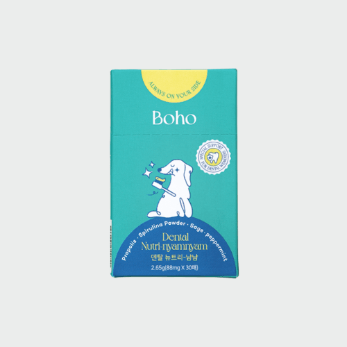 덴탈 뉴트리냠냠