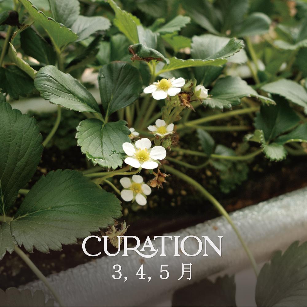 [회원정보수정 이벤트 전용] 봄, 세 가지 향 — Spring Palette 2ml Discovery vial