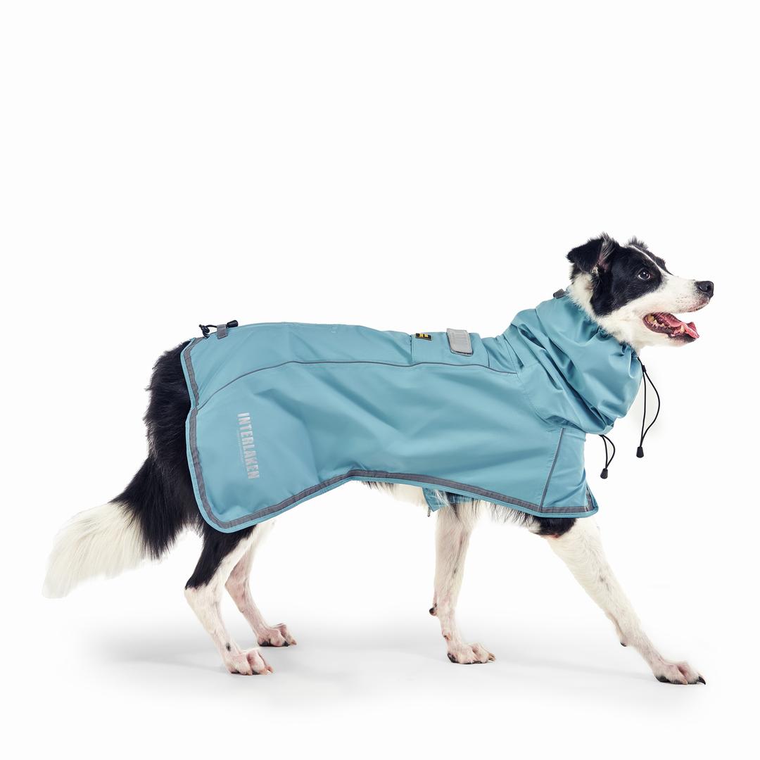 인터라켄 강아지 판초 우의 레인코트 반려견 우비 강아지옷 방수원단 S