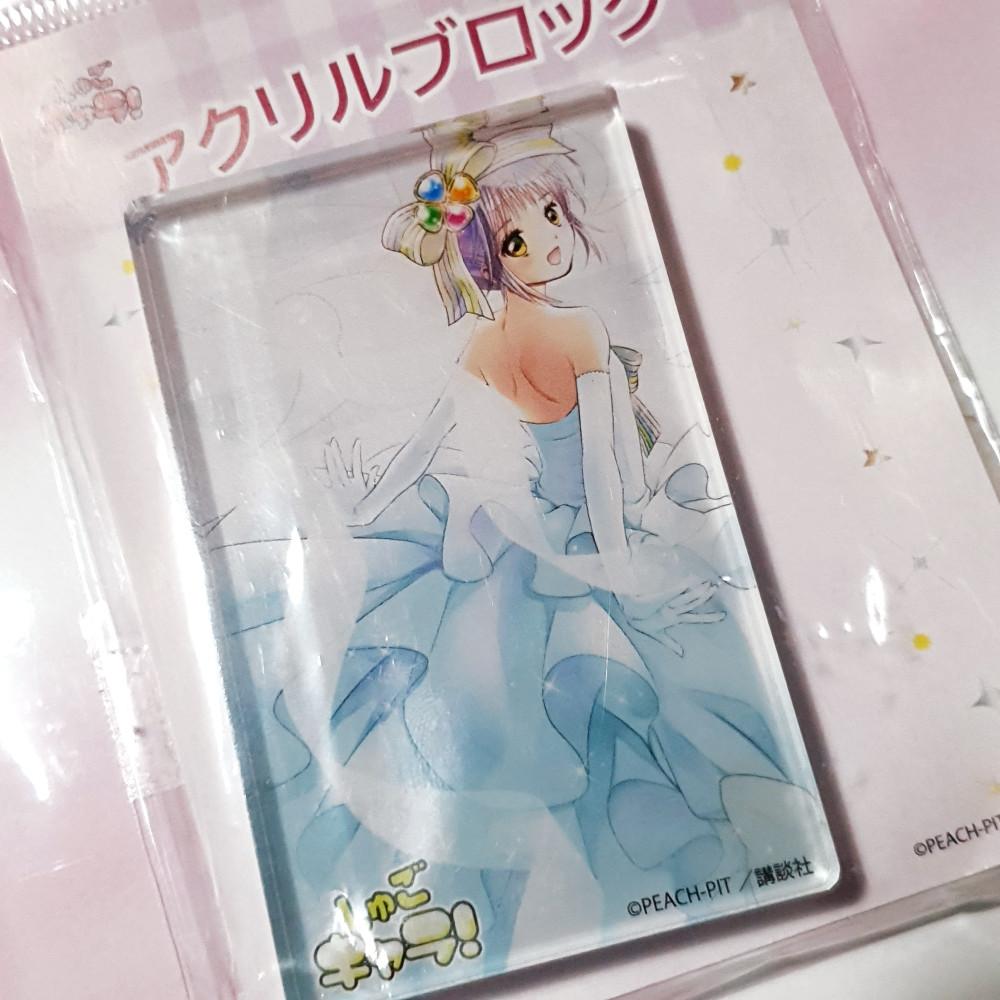 캐릭캐릭체인지 아무 애뮬릿 포츈 아크릴 블럭 슈고캬라
