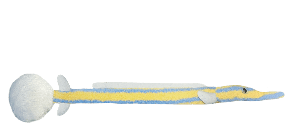 [다각각 책갈피] 책 속의 털어류 Fluffy Fish in a Book - 흰꼬리 줄실고기 · 왕인지