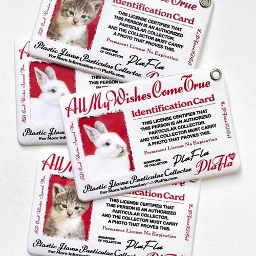 PlaFla Frame Photo Holder 13 ID Card White