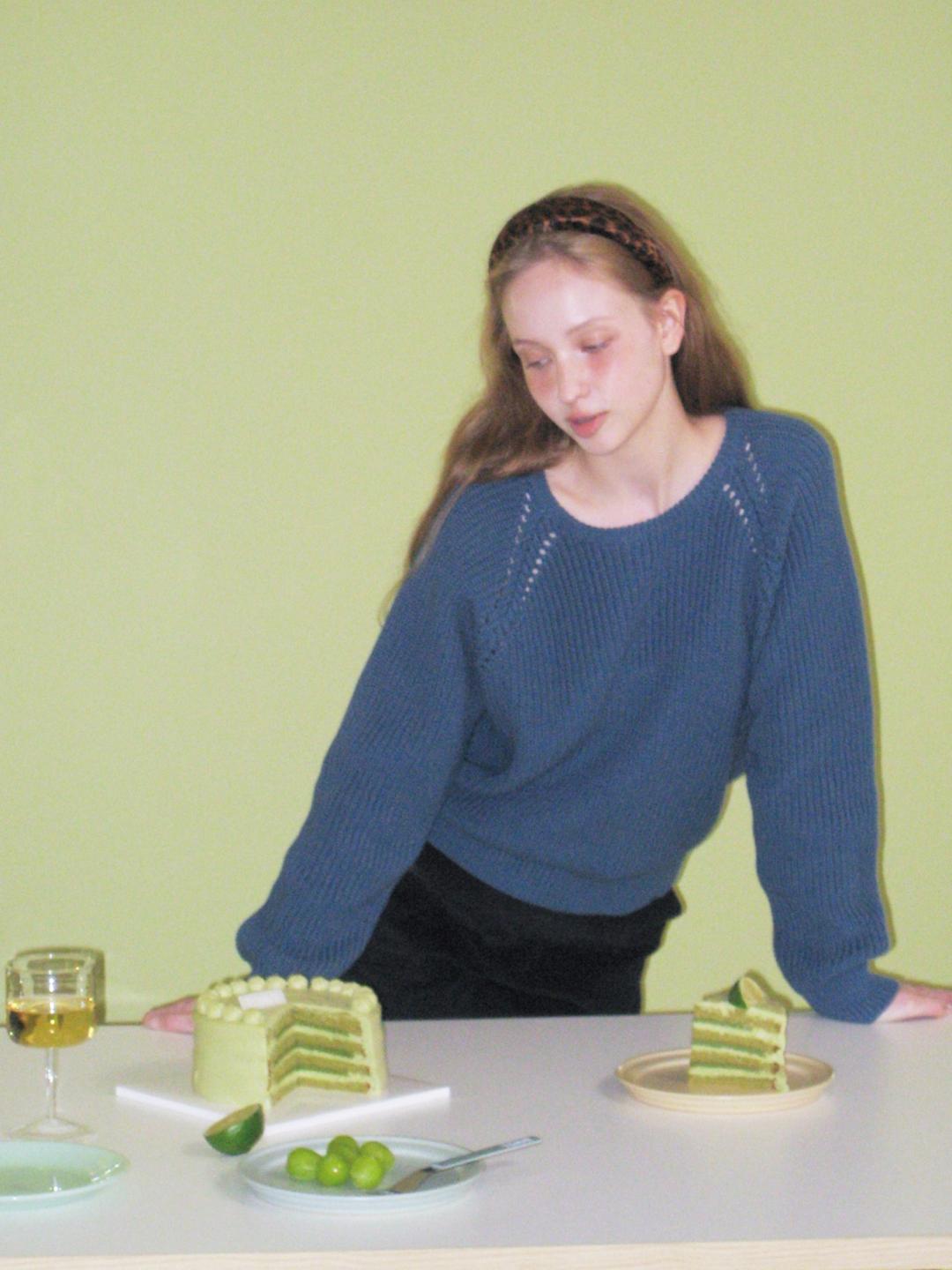 Herringbone Cotton Raglan Knit (Blue)