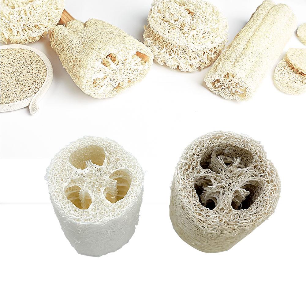 천연 수세미 루파 내맘대로 잘라쓰고 환경 지키미 제로 웨이스트