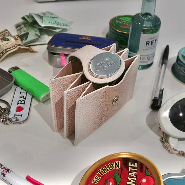 Accordion Cardcase