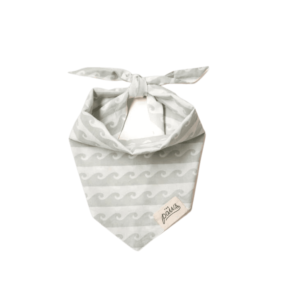 Surf Dog Bandana