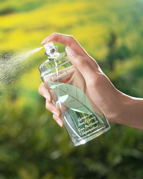 그린티 센트 스프레이 EDC 100ml