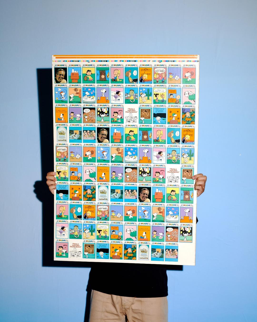 #14268 / Charles Schultz Peanuts Trading Card Poster