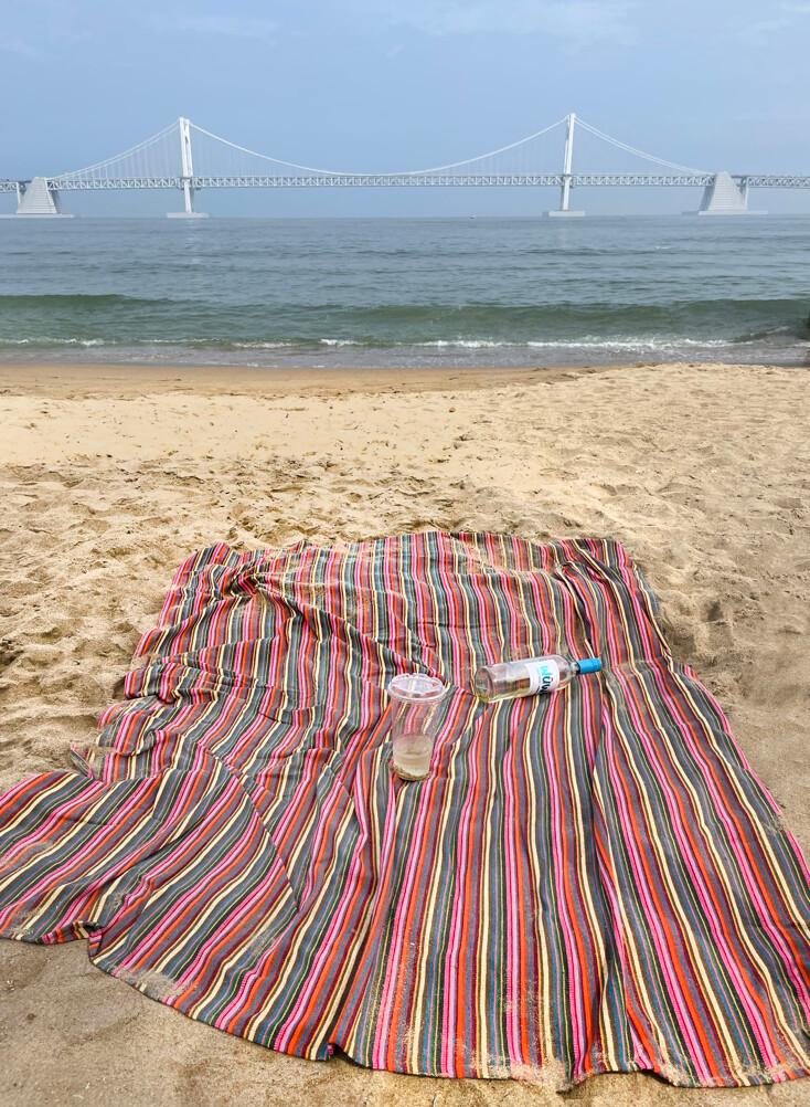 multi picnic mat / pink 피크닉매트