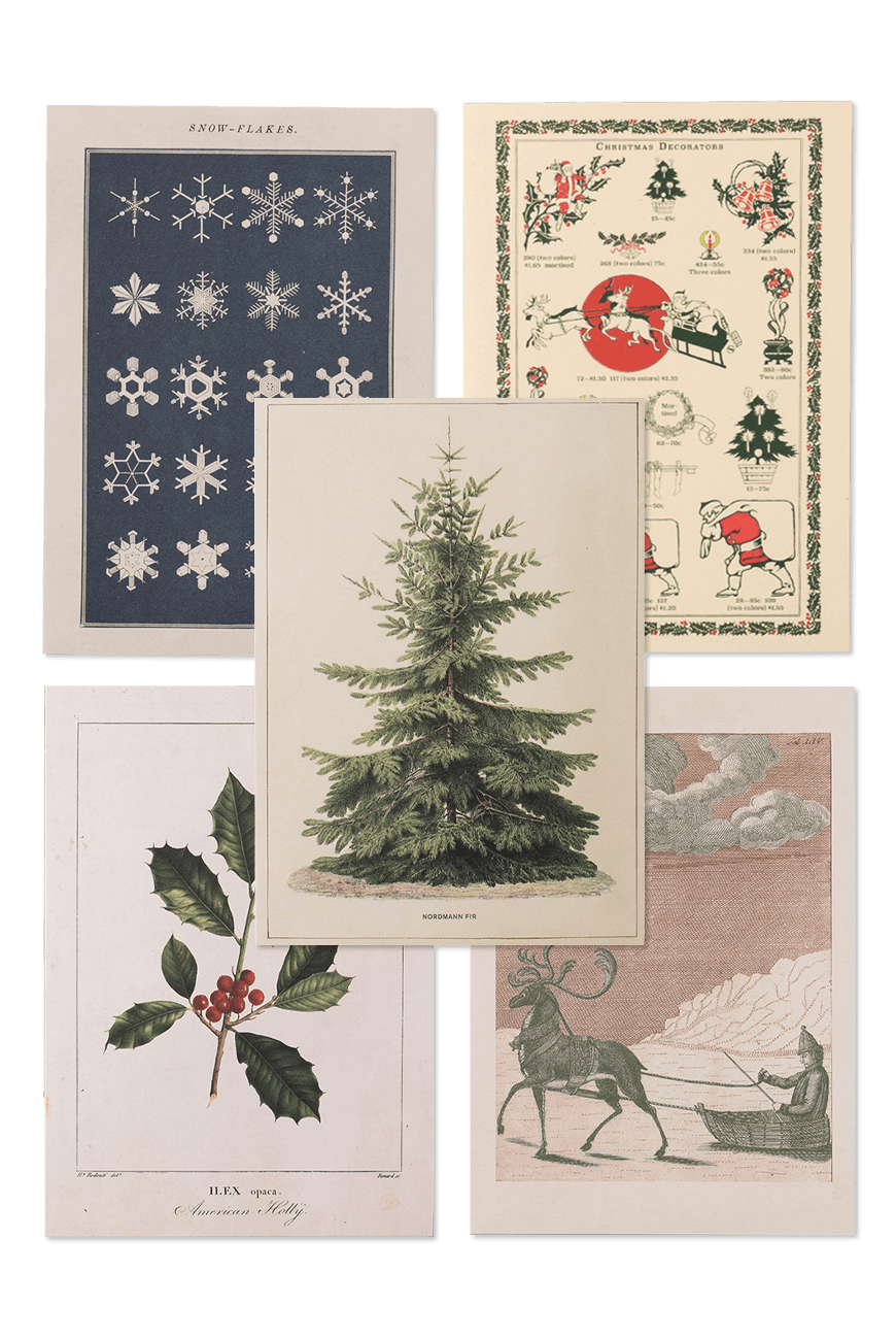 그리팅 카드  Card & Envelope - Winter