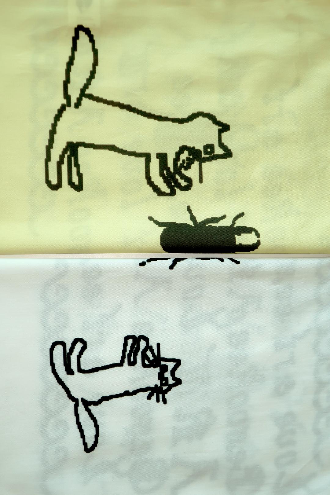 cat and beetle