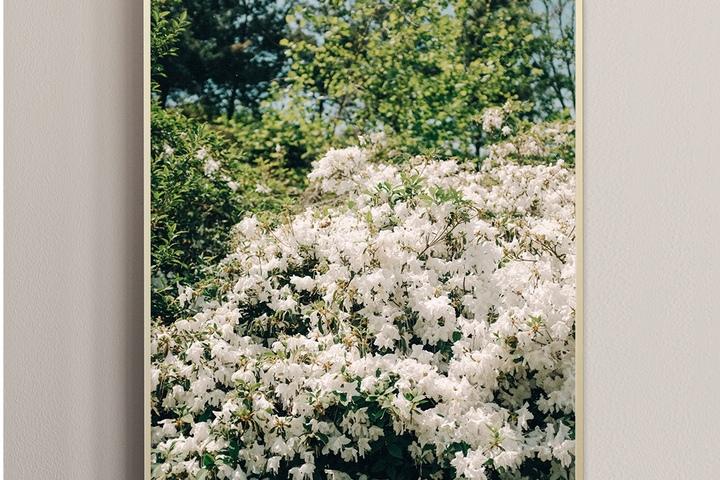 인테리어 포스터 액자 / End of Spring, Scene
