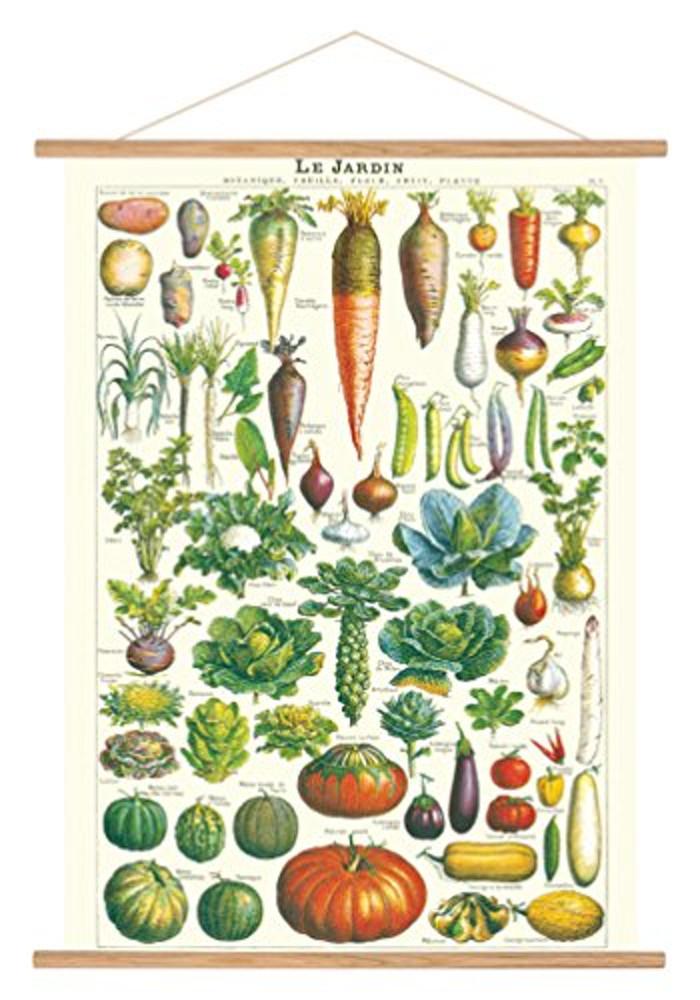 카발리니 빈티지 Jardin Hanging 포스터 키트 일러스트 문구