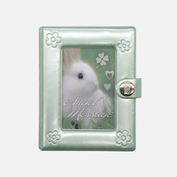 Shimmer Collect Book_Green