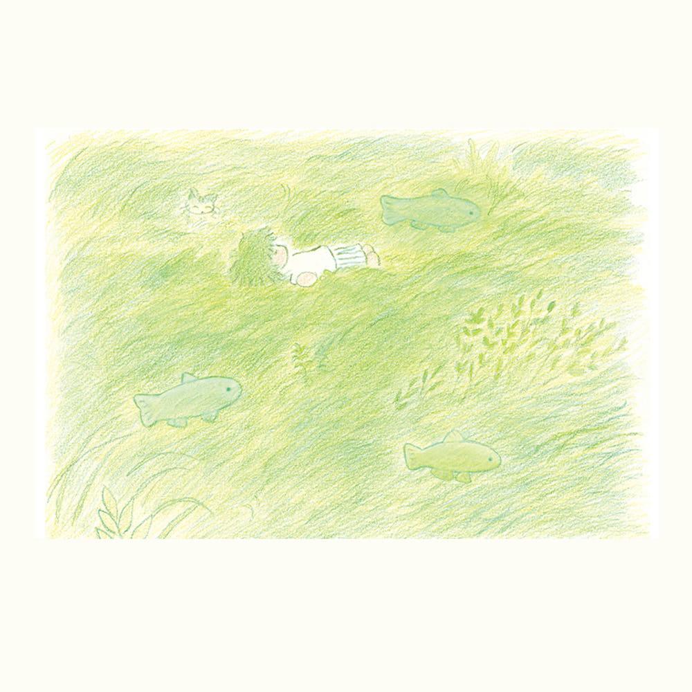 [하미네] 풀의 강 엽서