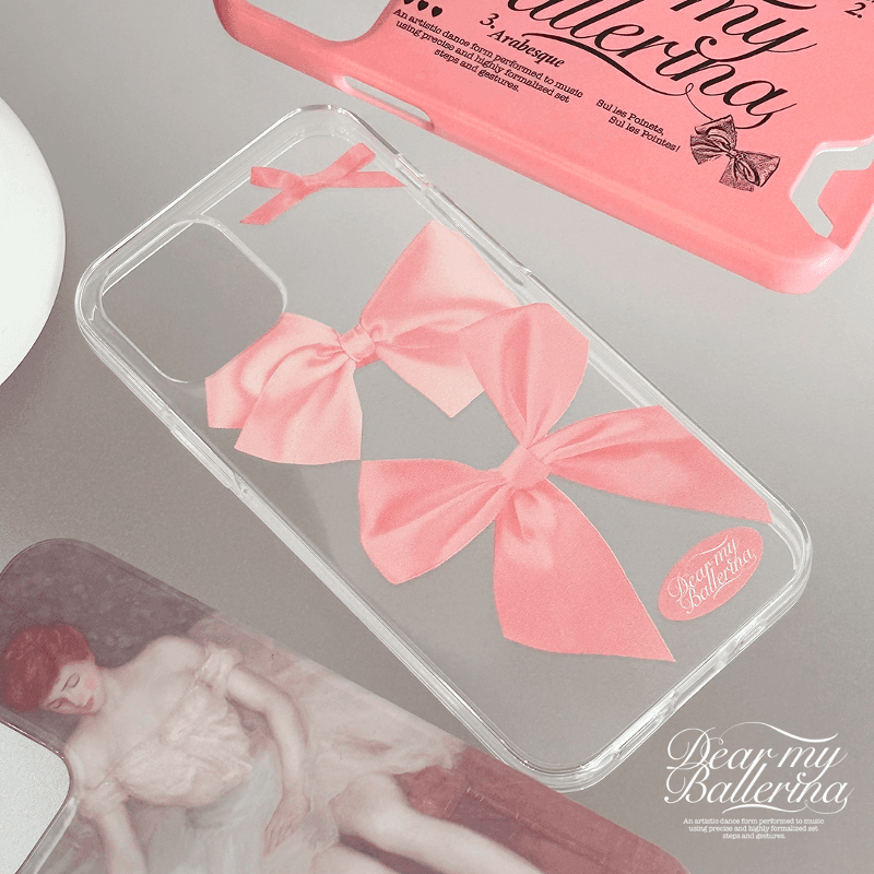 [18.5차 예약] Ribbon Ribbon case